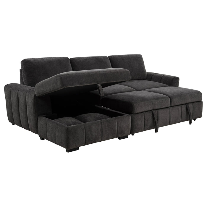 Pastrana Pull-Out Sleeper Sectional Sofa