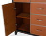 21 Cosmopolitan 6 Drawer Chest in Orange/Umber - Furniture Max (Falls Church,VA) *