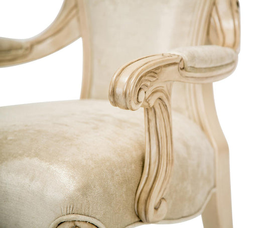 Platine de Royale Arm Chair in Champagne (Set of 2) - Furniture Max (Falls Church,VA) *