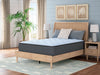 Destin Cove Plush Mattress - Furniture Max (Falls Church,VA) *