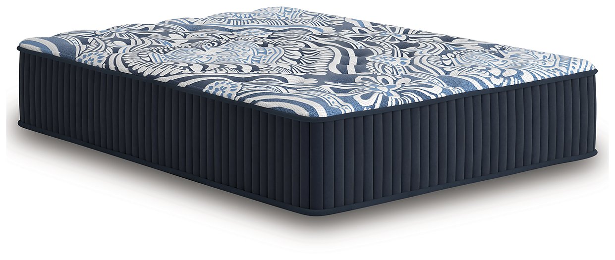 Firm Luxe 2.0 Mattress - Furniture Max (Falls Church,VA) *