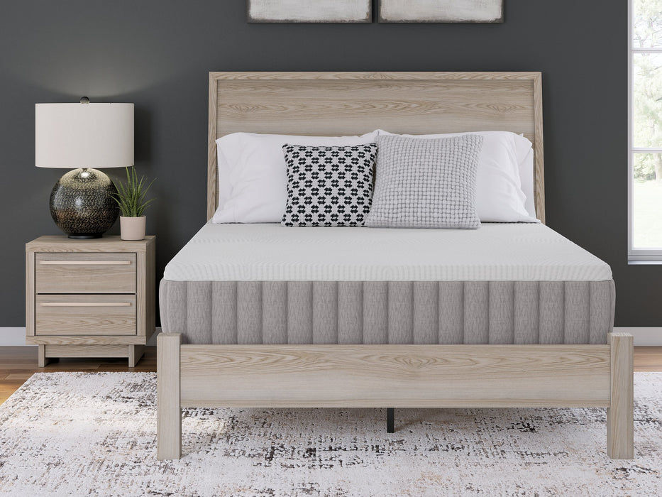 Terra Sleep Medium Mattress - Furniture Max (Falls Church,VA) *