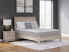 Terra Sleep Medium Mattress - Furniture Max (Falls Church,VA) *