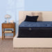Perfect Sleeper Hybrid Mattress - Furniture Max (Falls Church,VA) *