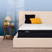 Perfect Sleeper Innerspring Mattress - Furniture Max (Falls Church,VA) *