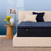 Perfect Sleeper Innerspring Mattress - Furniture Max (Falls Church,VA) *
