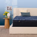 Perfect Sleeper Innerspring Mattress - Furniture Max (Falls Church,VA) *