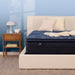 Perfect Sleeper Innerspring Mattress - Furniture Max (Falls Church,VA) *