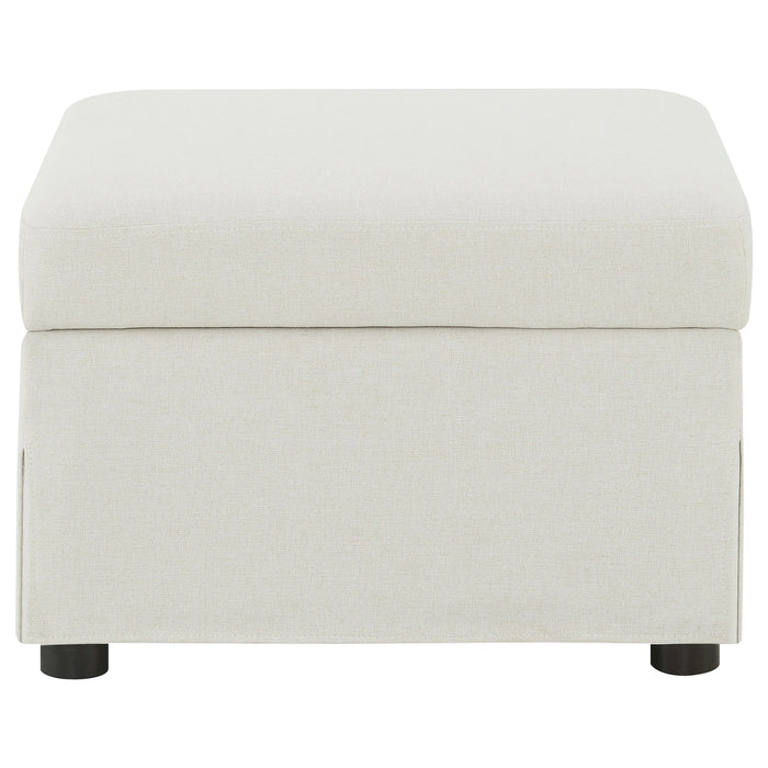 Winter Storage Ottoman