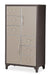 21 Cosmopolitan 6 Drawer Chest in Taupe/Umber image